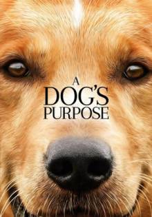 A Dogs Purpose  Image